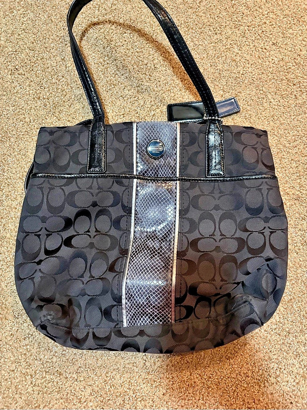 Coach Signature Python Stripe Tote Signature Tote in Blue, Brown & Black